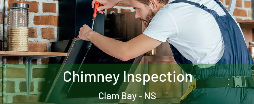  Chimney Inspection Clam Bay - NS