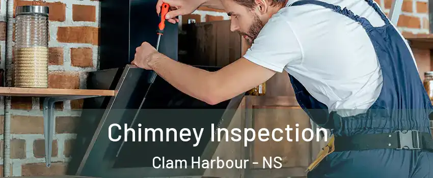  Chimney Inspection Clam Harbour - NS