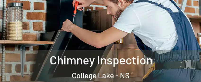  Chimney Inspection College Lake - NS