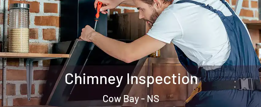  Chimney Inspection Cow Bay - NS