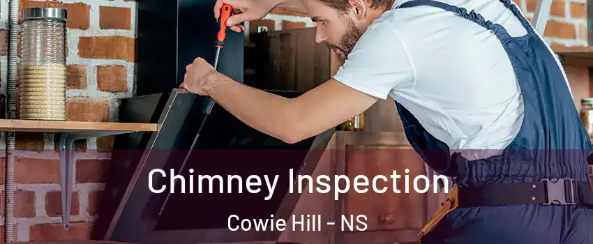  Chimney Inspection Cowie Hill - NS