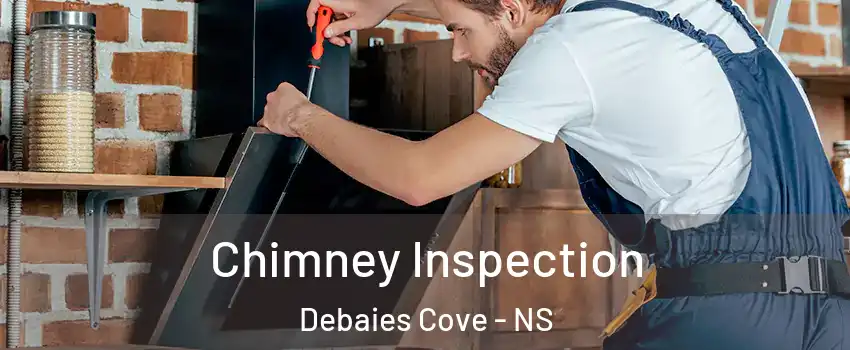  Chimney Inspection Debaies Cove - NS