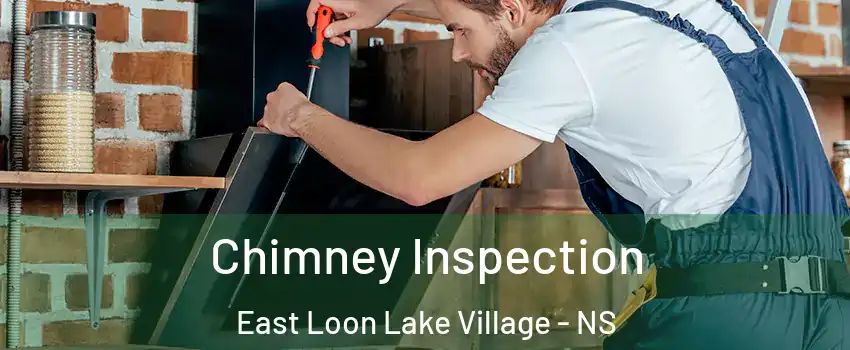  Chimney Inspection East Loon Lake Village - NS