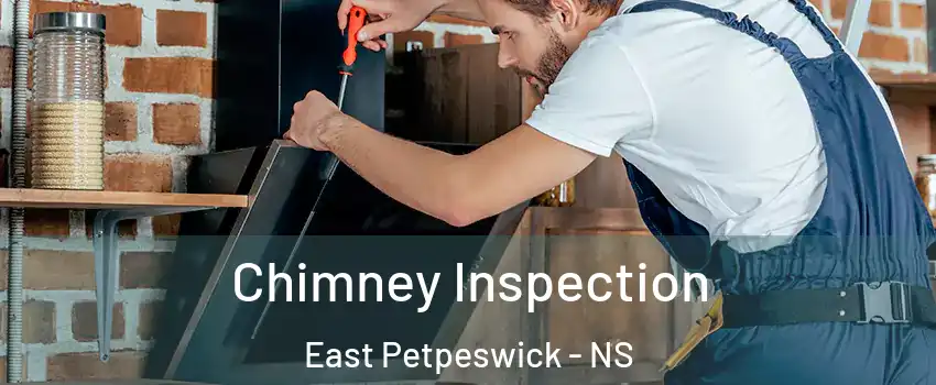  Chimney Inspection East Petpeswick - NS