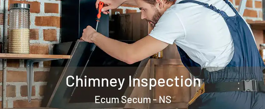  Chimney Inspection Ecum Secum - NS