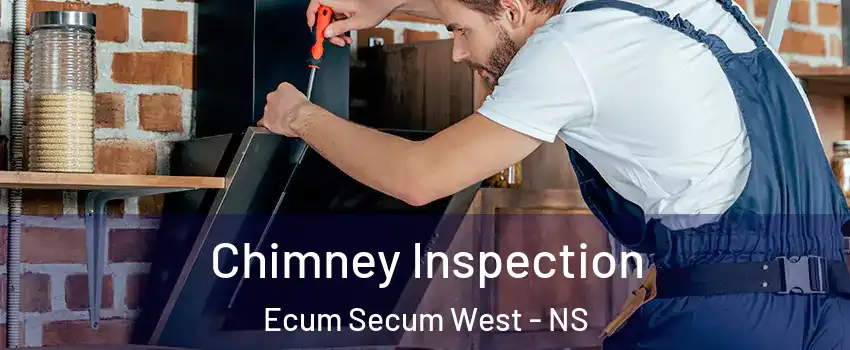  Chimney Inspection Ecum Secum West - NS
