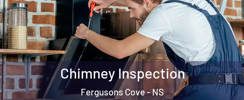  Chimney Inspection Fergusons Cove - NS