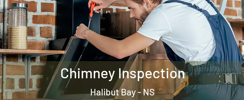  Chimney Inspection Halibut Bay - NS