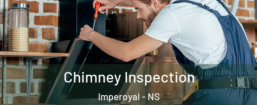  Chimney Inspection Imperoyal - NS