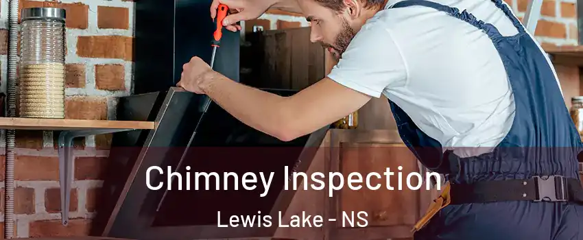  Chimney Inspection Lewis Lake - NS