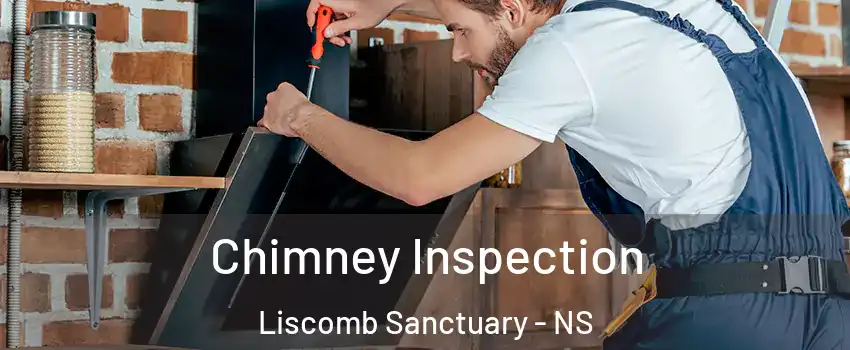  Chimney Inspection Liscomb Sanctuary - NS