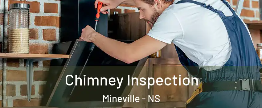  Chimney Inspection Mineville - NS