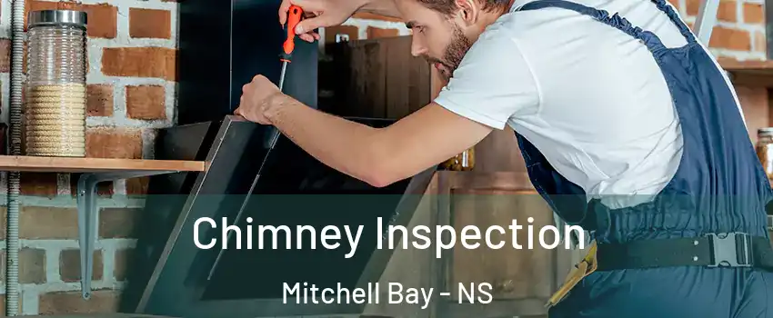  Chimney Inspection Mitchell Bay - NS