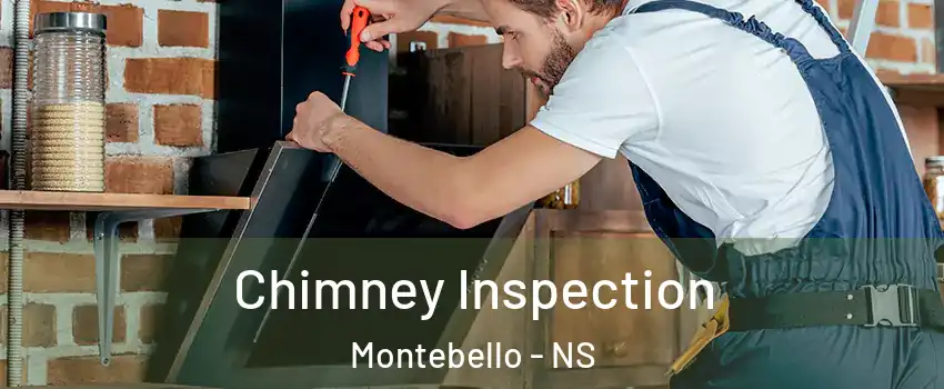  Chimney Inspection Montebello - NS