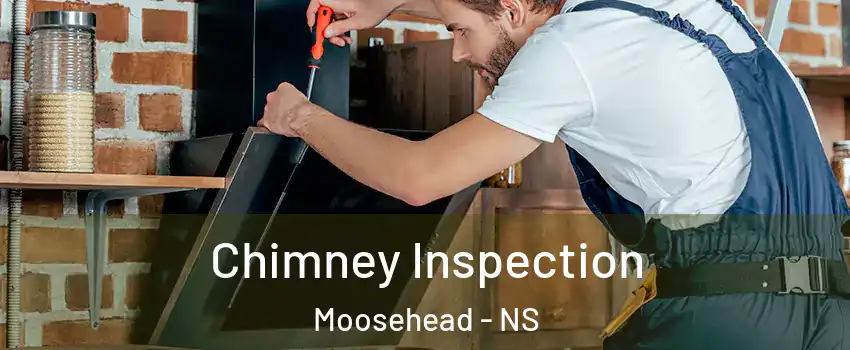  Chimney Inspection Moosehead - NS