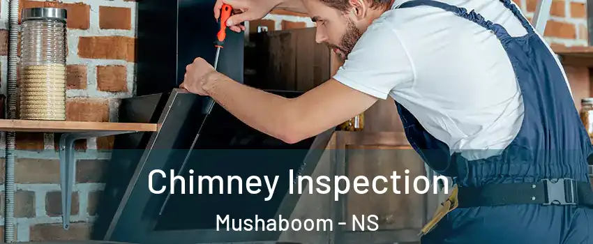  Chimney Inspection Mushaboom - NS