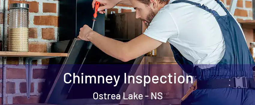  Chimney Inspection Ostrea Lake - NS