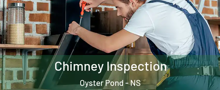  Chimney Inspection Oyster Pond - NS