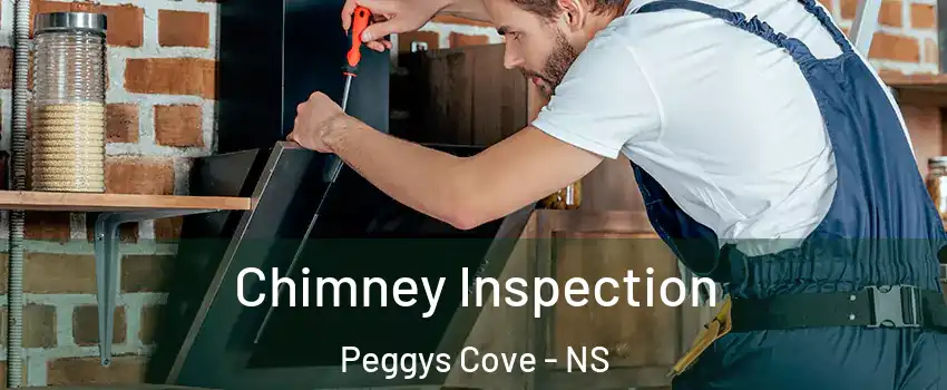  Chimney Inspection Peggys Cove - NS