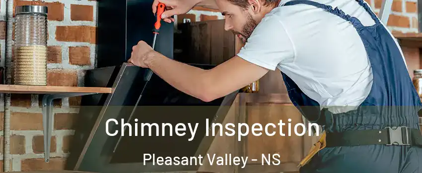  Chimney Inspection Pleasant Valley - NS