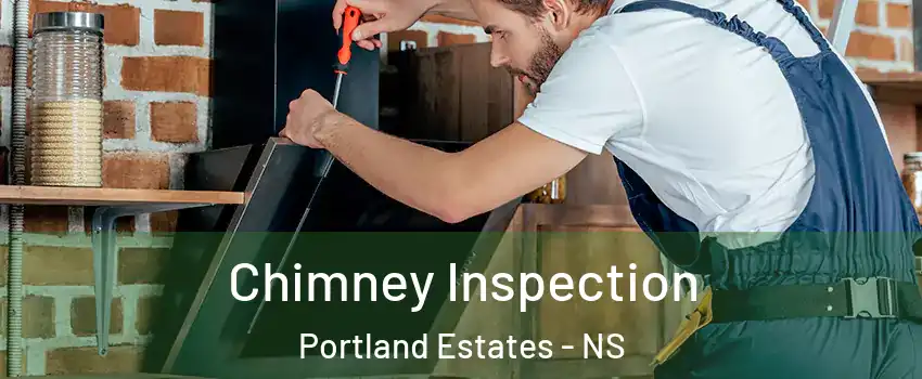  Chimney Inspection Portland Estates - NS