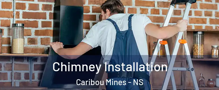  Chimney Installation Caribou Mines - NS