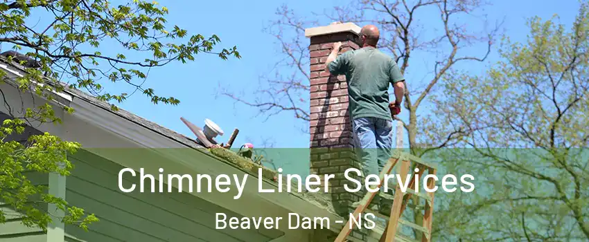  Chimney Liner Services Beaver Dam - NS