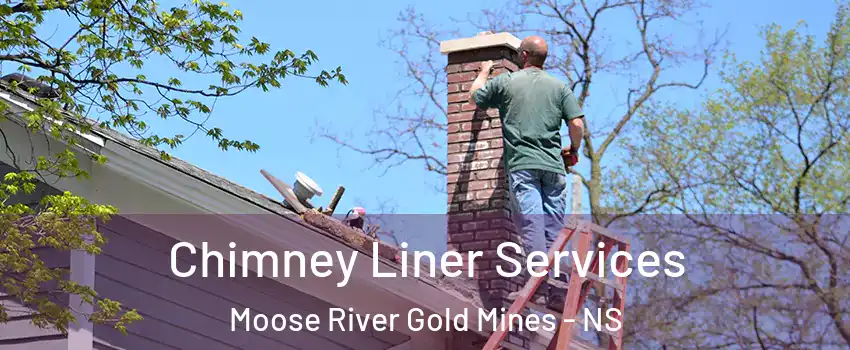  Chimney Liner Services Moose River Gold Mines - NS