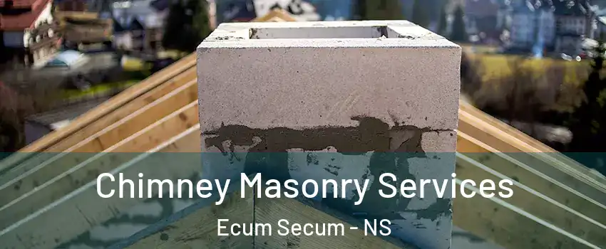  Chimney Masonry Services Ecum Secum - NS