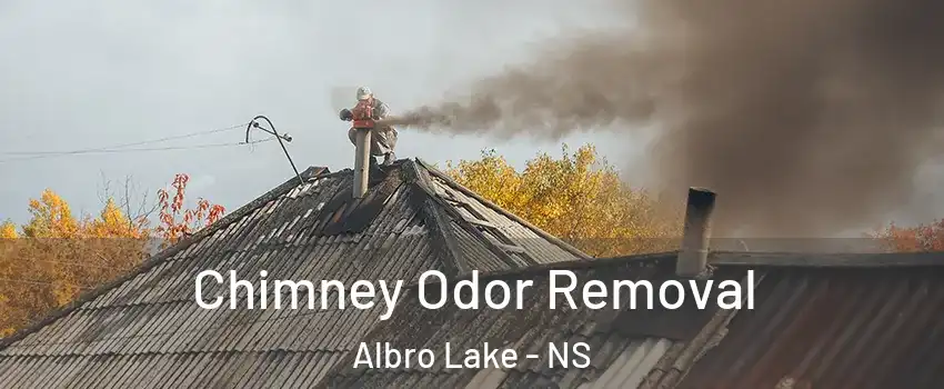  Chimney Odor Removal Albro Lake - NS