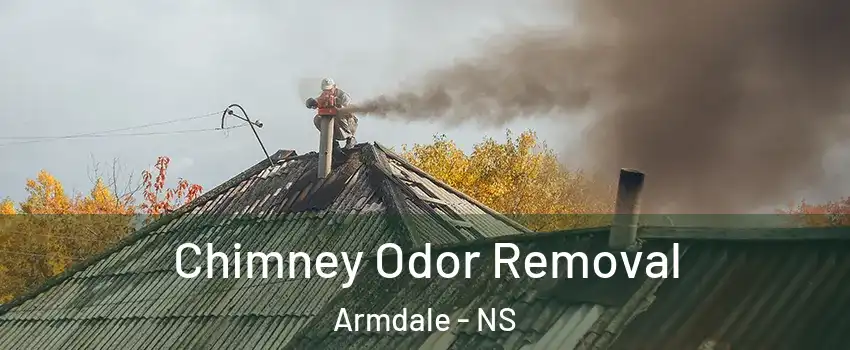  Chimney Odor Removal Armdale - NS