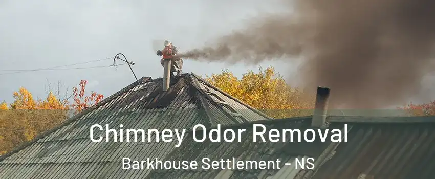  Chimney Odor Removal Barkhouse Settlement - NS