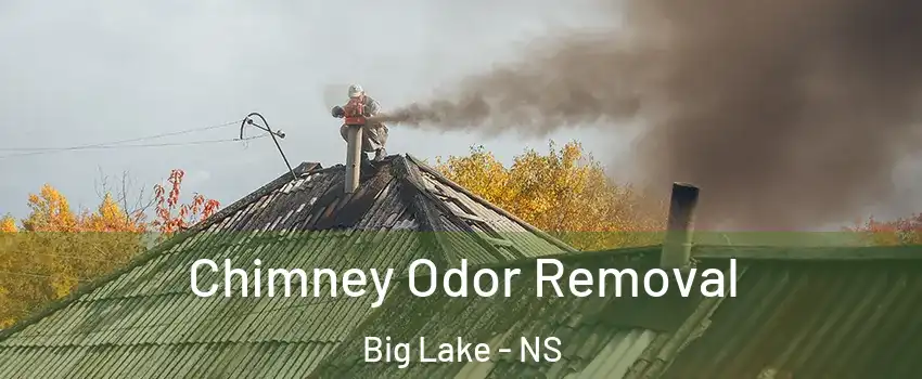  Chimney Odor Removal Big Lake - NS