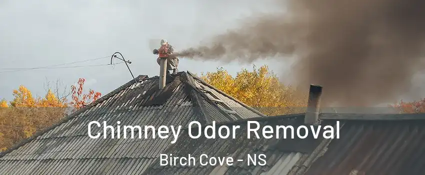  Chimney Odor Removal Birch Cove - NS