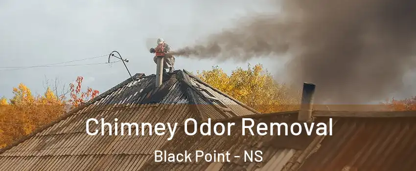  Chimney Odor Removal Black Point - NS