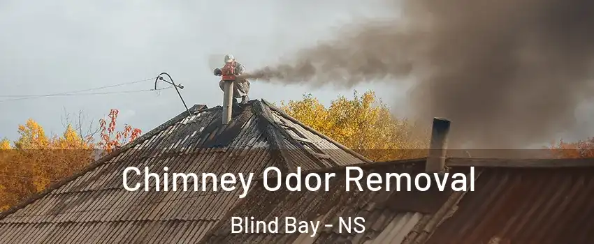  Chimney Odor Removal Blind Bay - NS