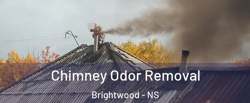  Chimney Odor Removal Brightwood - NS