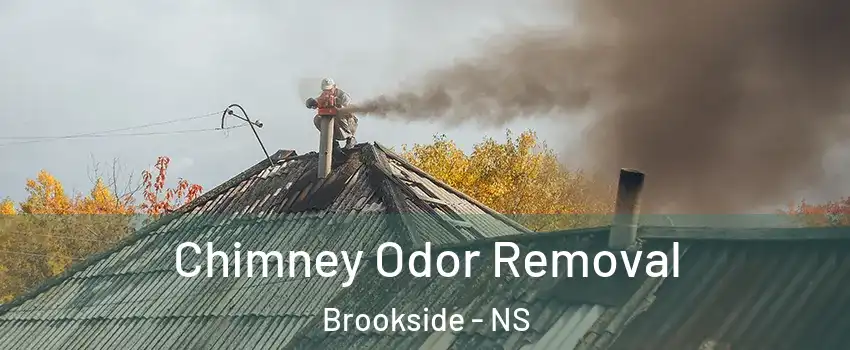  Chimney Odor Removal Brookside - NS