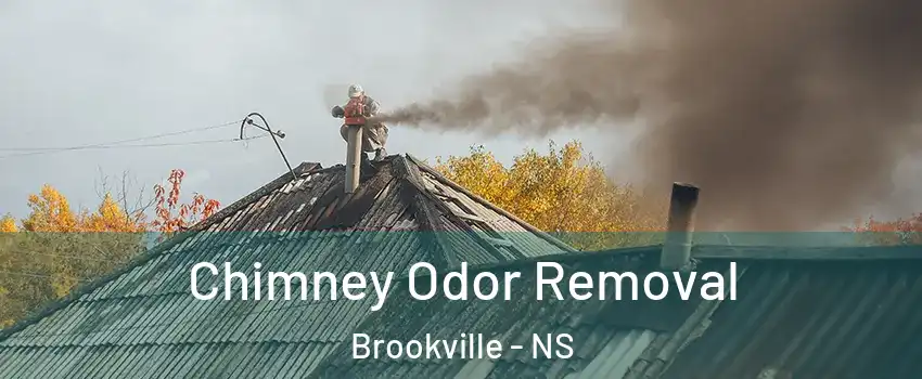  Chimney Odor Removal Brookville - NS