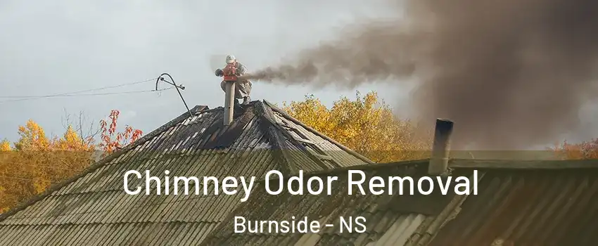  Chimney Odor Removal Burnside - NS