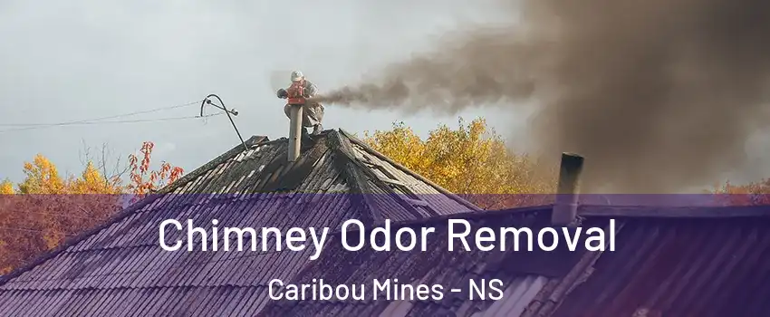  Chimney Odor Removal Caribou Mines - NS