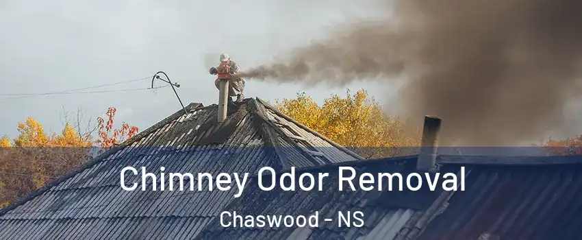  Chimney Odor Removal Chaswood - NS