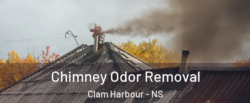  Chimney Odor Removal Clam Harbour - NS