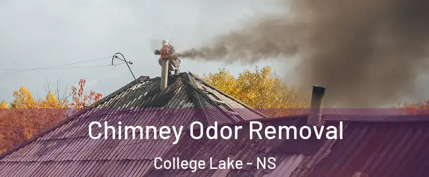  Chimney Odor Removal College Lake - NS