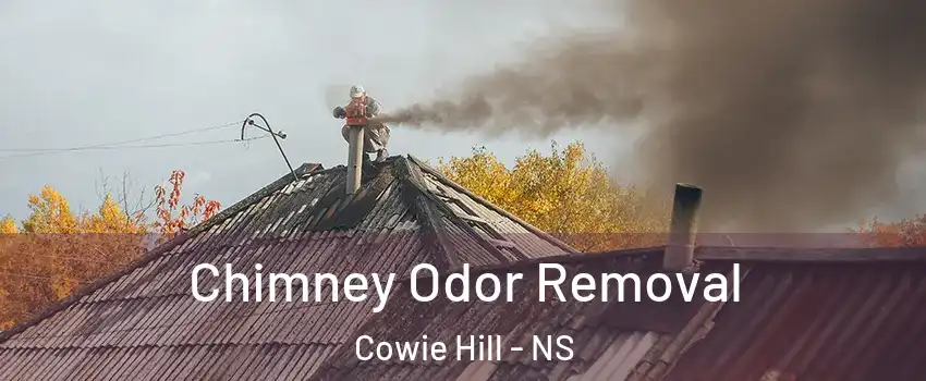  Chimney Odor Removal Cowie Hill - NS