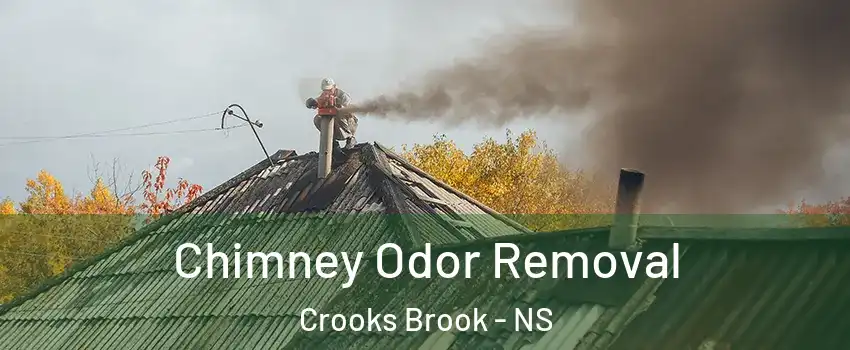  Chimney Odor Removal Crooks Brook - NS