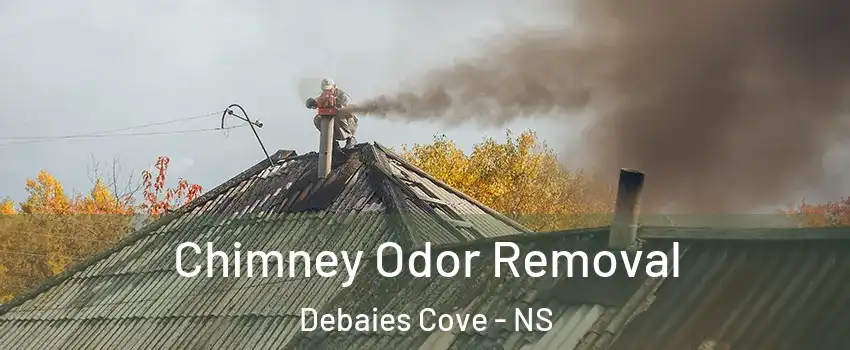  Chimney Odor Removal Debaies Cove - NS