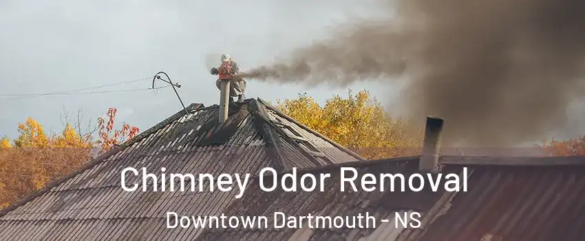  Chimney Odor Removal Downtown Dartmouth - NS