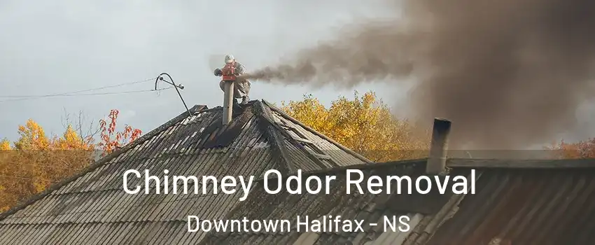  Chimney Odor Removal Downtown Halifax - NS