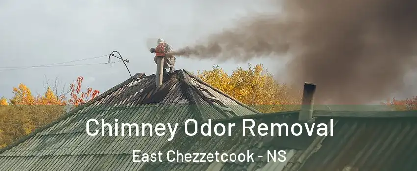  Chimney Odor Removal East Chezzetcook - NS